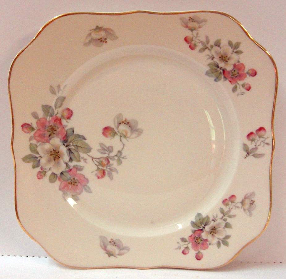 R1009 Square Salad Plate by Rosenthal - Continental-1