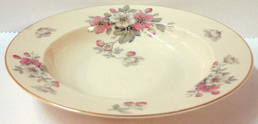 R1009 Rim Soup Bowl by Rosenthal - Continental-1