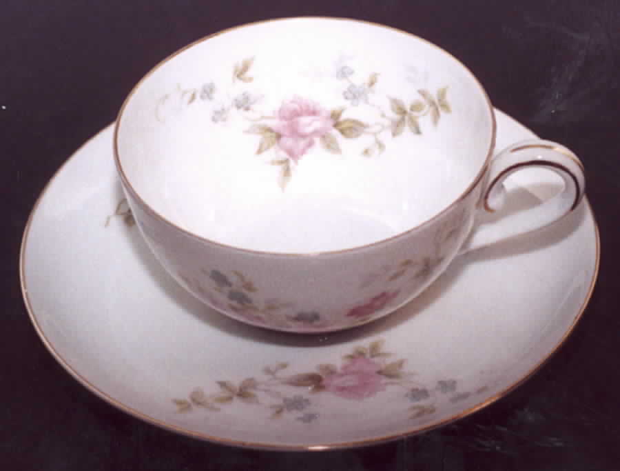 R1010 Flat Cup & Saucer Set by Rosenthal - Continental-1