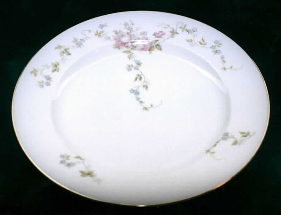 R1010 Dinner Plate by Rosenthal - Continental-1