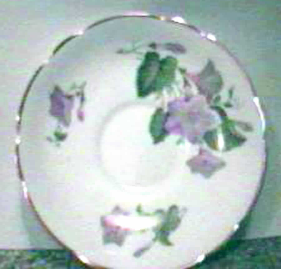 Convolvulus Saucer by Regency-1