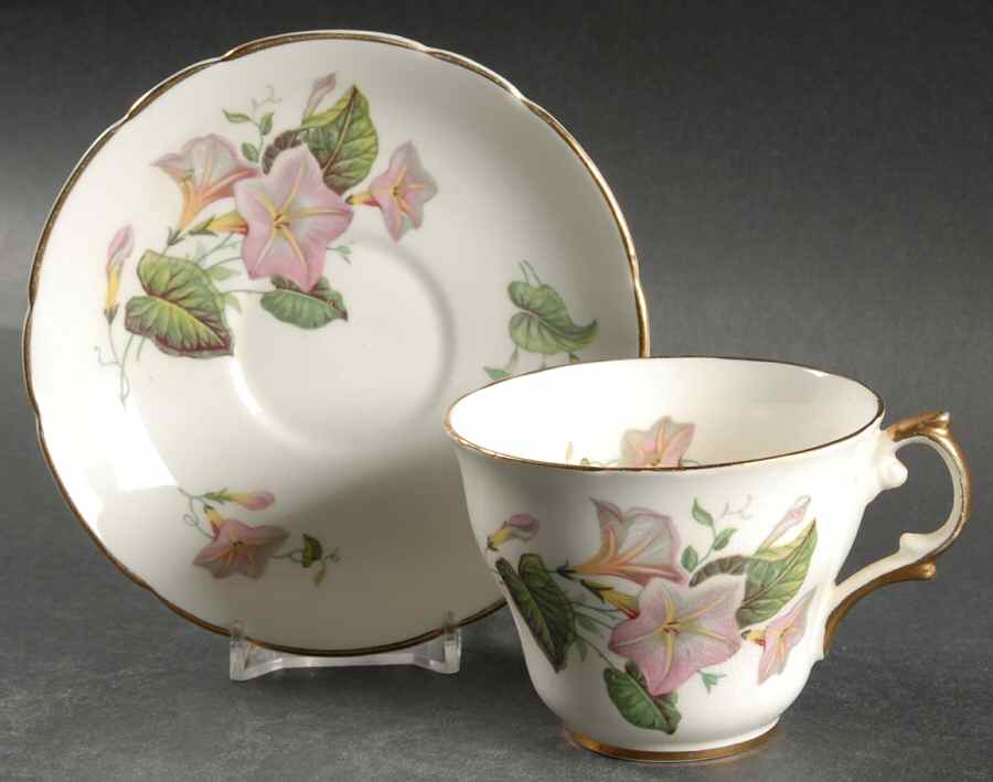 Convolvulus Flat Cup & Saucer Set by Regency-1