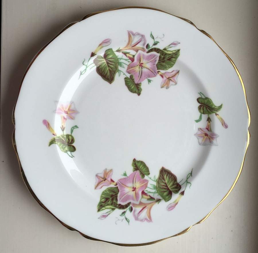Convolvulus Salad Plate by Regency-1