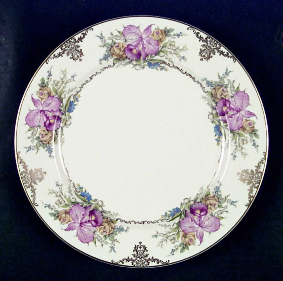 824h Dinner Plate by Rosenthal - Continental-1