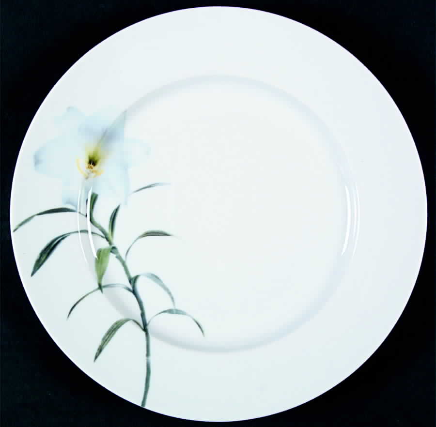 Fleur De Chine Dinner Plate by Rosenthal - Continental-1
