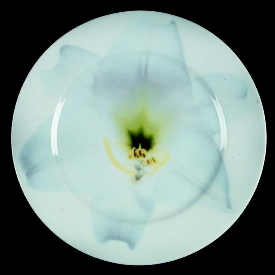 Fleur De Chine Bread & Butter Plate by Rosenthal - Continental-1