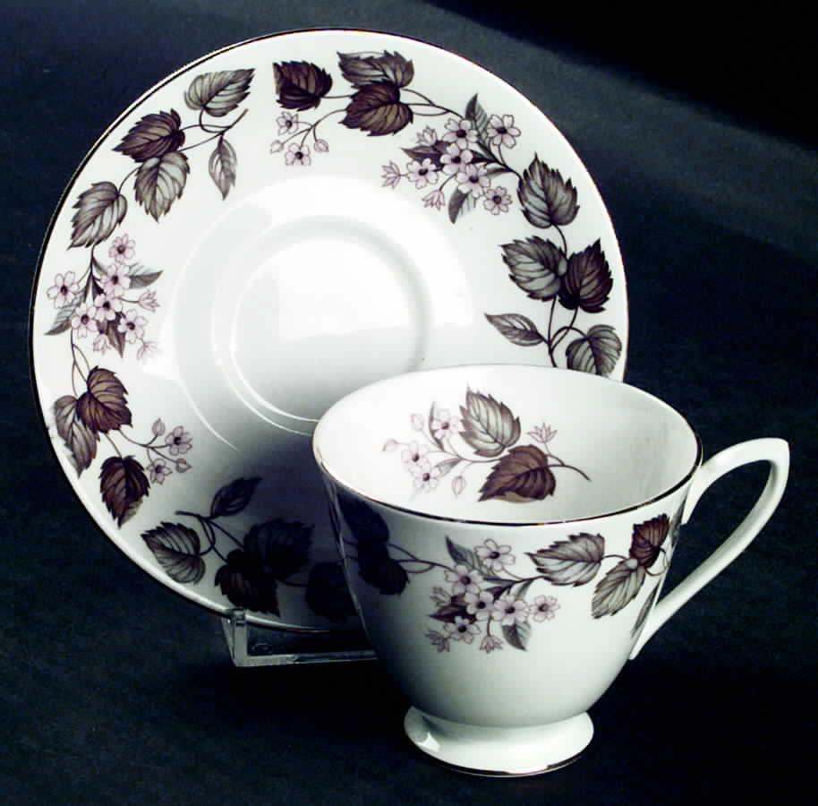 Linden Lea (Smooth) Footed Cup & Saucer Set by Royal Albert-1
