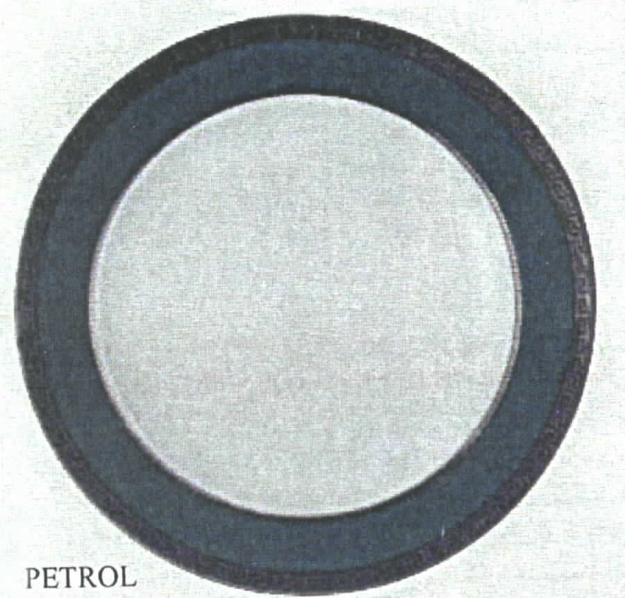Versace Colours Teal (Petrol) Service Plate (Charger) by Rosenthal - Continental-1