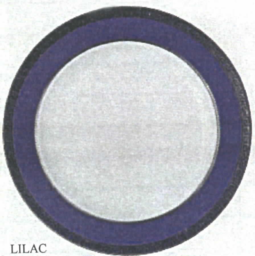 Versace Colours Lilac Service Plate (Charger) by Rosenthal - Continental-1