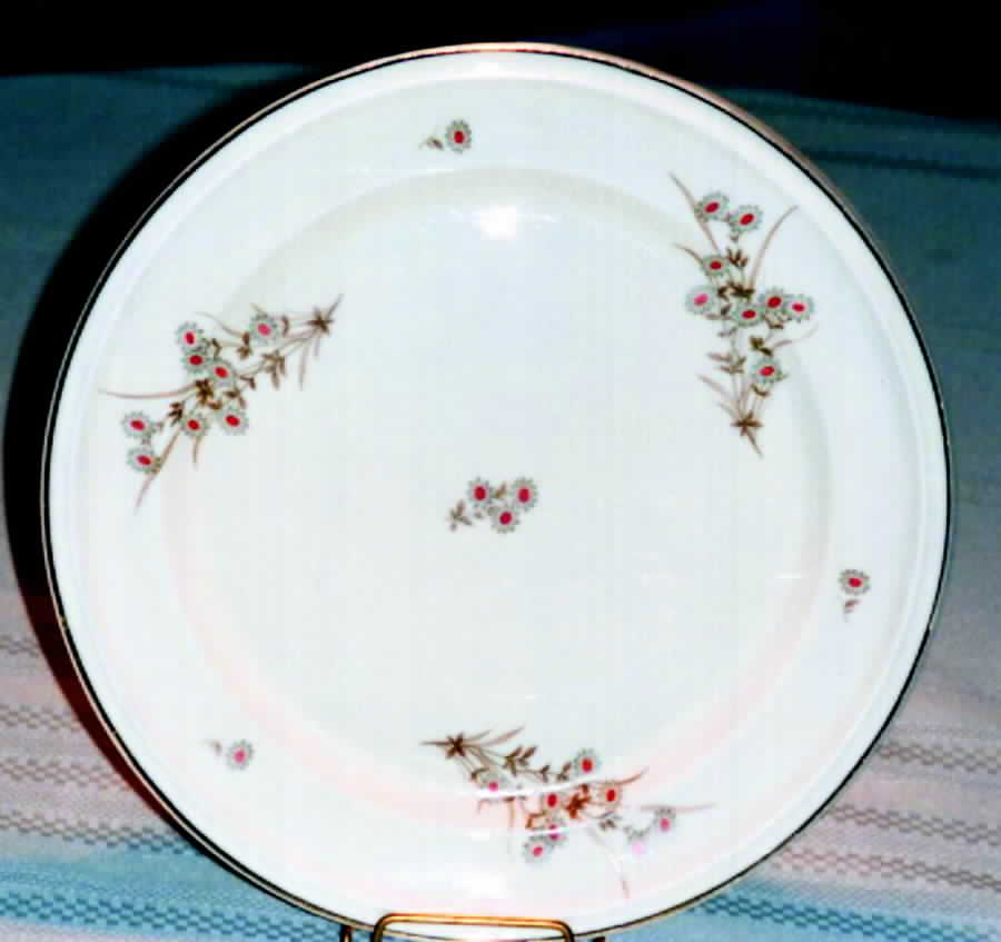 R1021 Dinner Plate by Rosenthal - Continental-1
