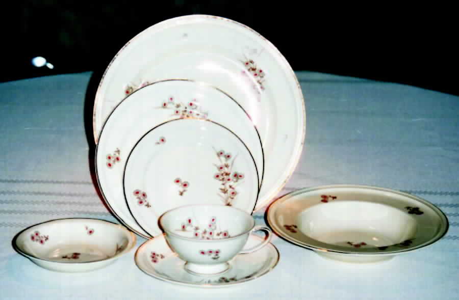 R1021 Footed Cup & Saucer Set by Rosenthal - Continental-1
