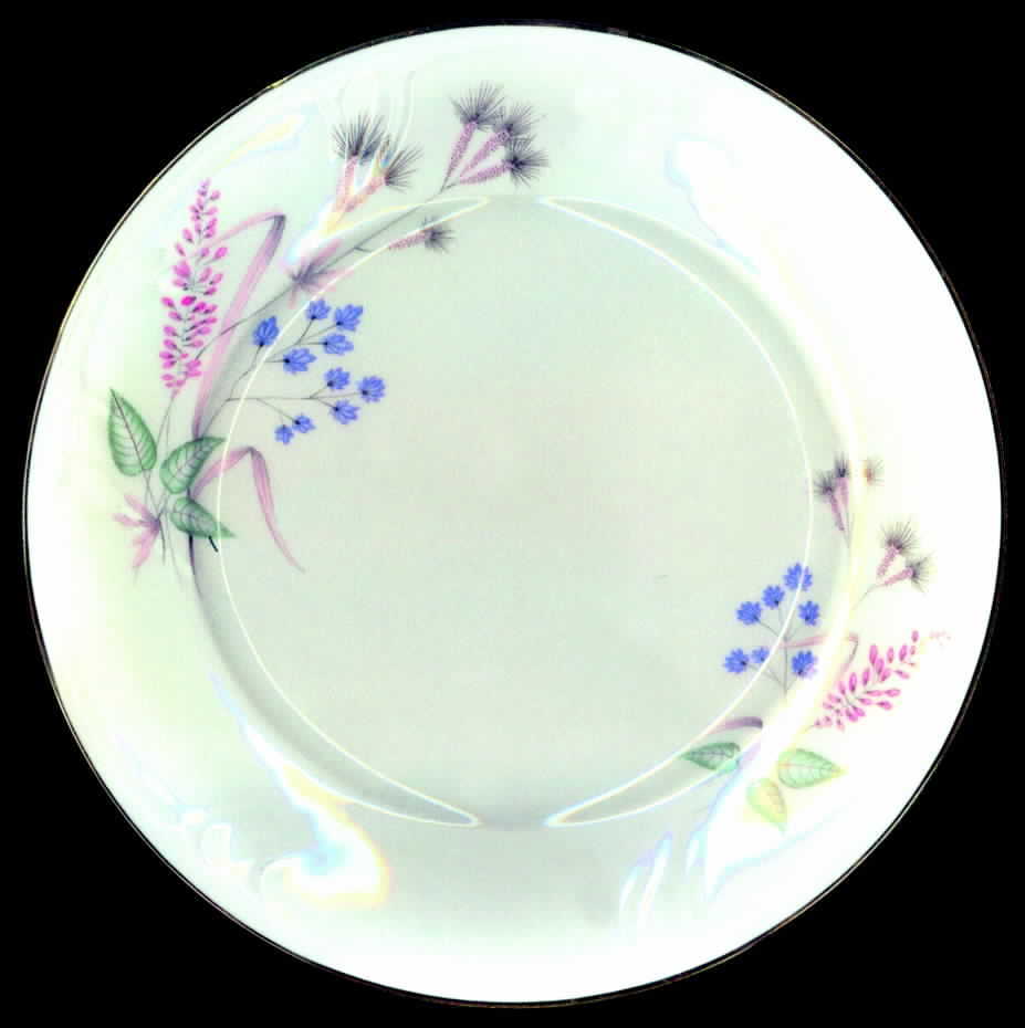 Danube Dinner Plate by Royal Coburg-1
