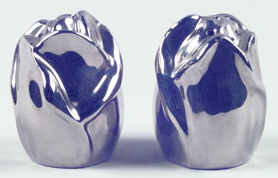 Silver Age Salt & Pepper Set by Royal Winton-1