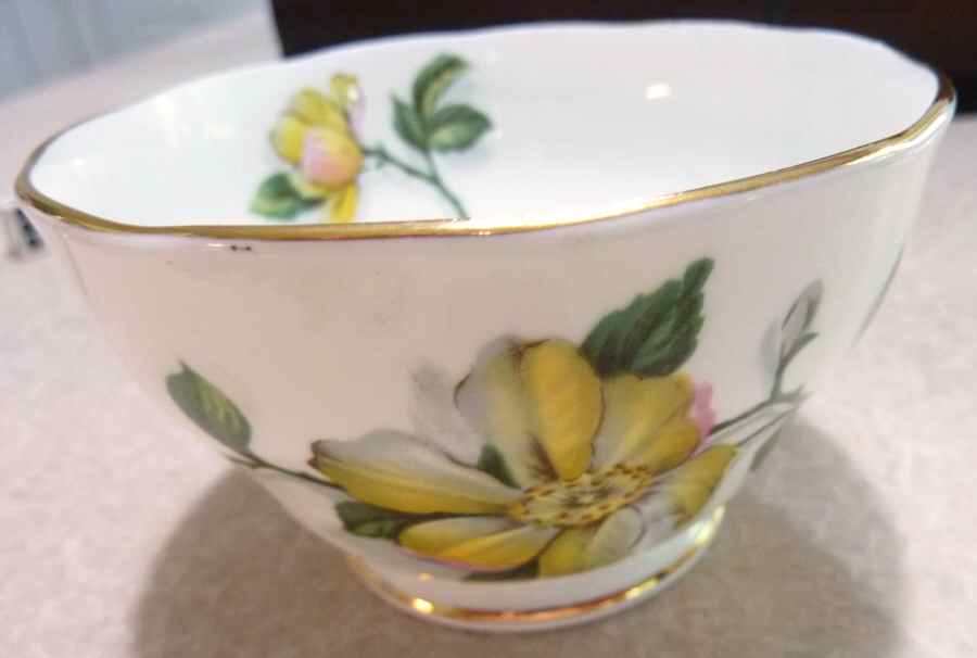 Camellia Open Sugar Bowl by Royal Standard-1