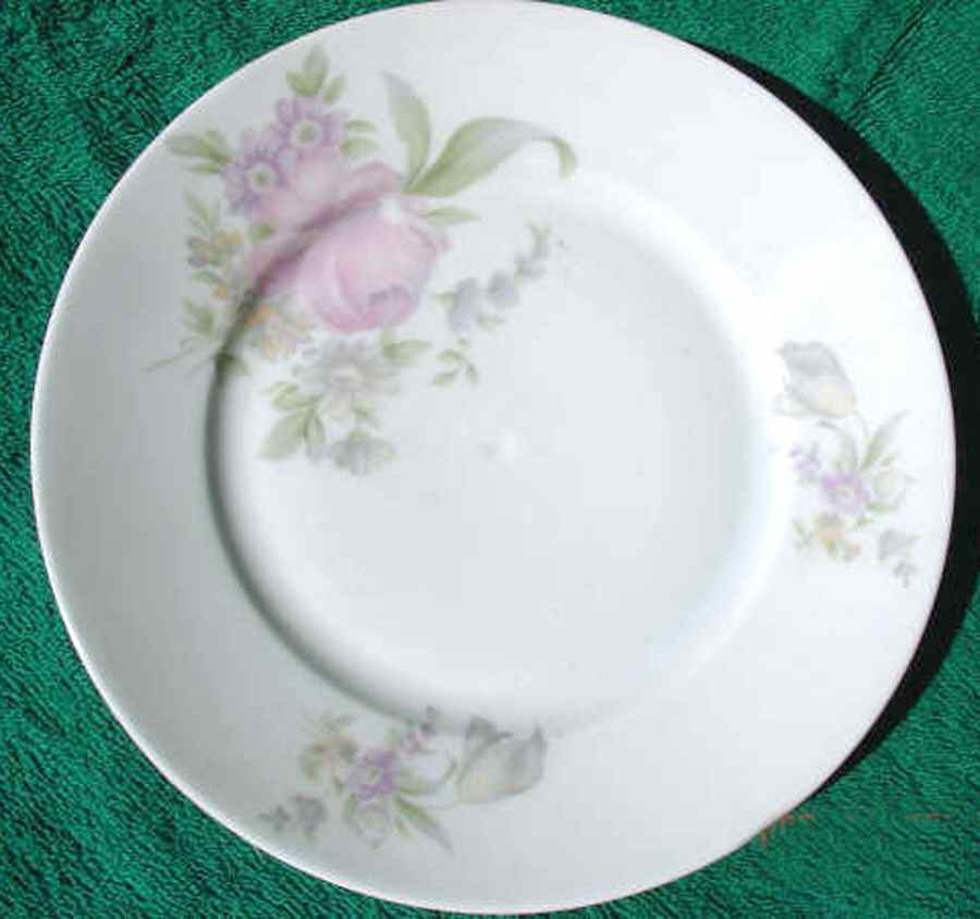 R1054 Bread & Butter Plate by Rosenthal - Continental-1