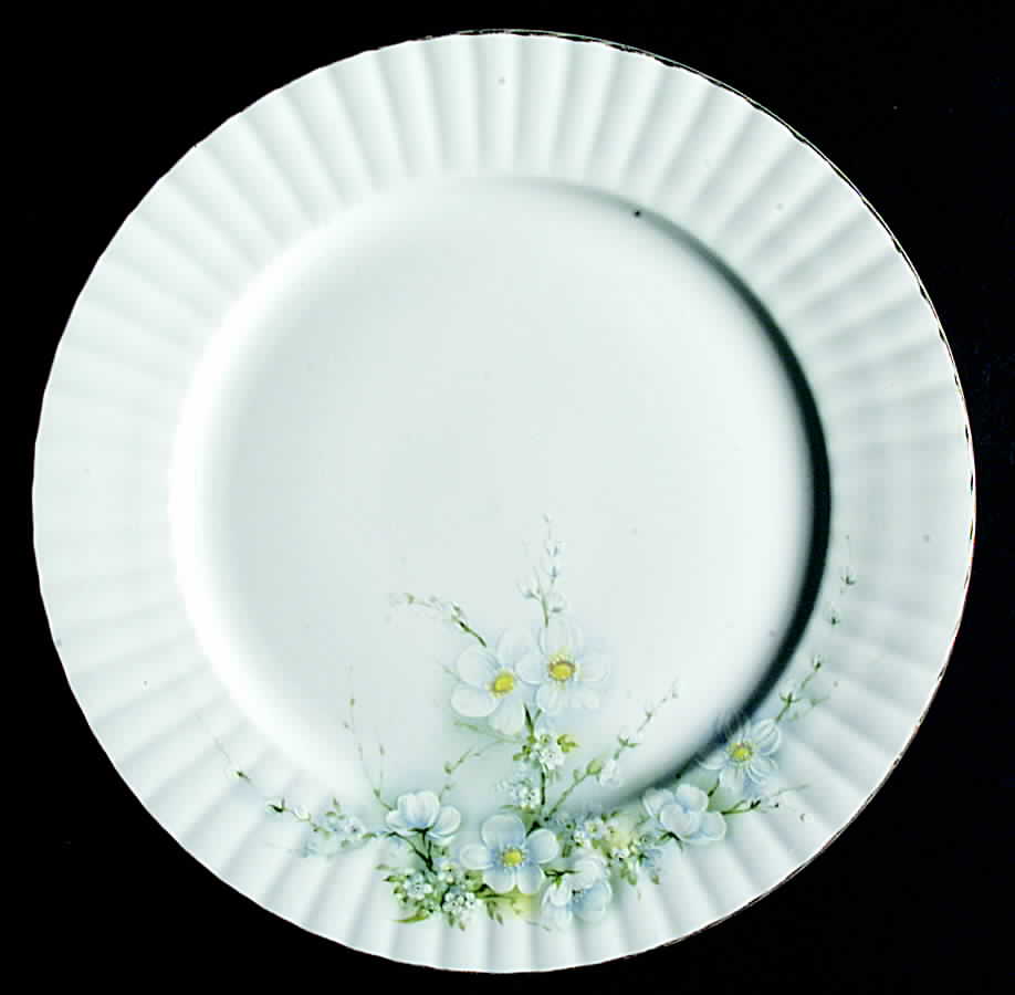RST65 Dinner Plate by Royal Stafford-1