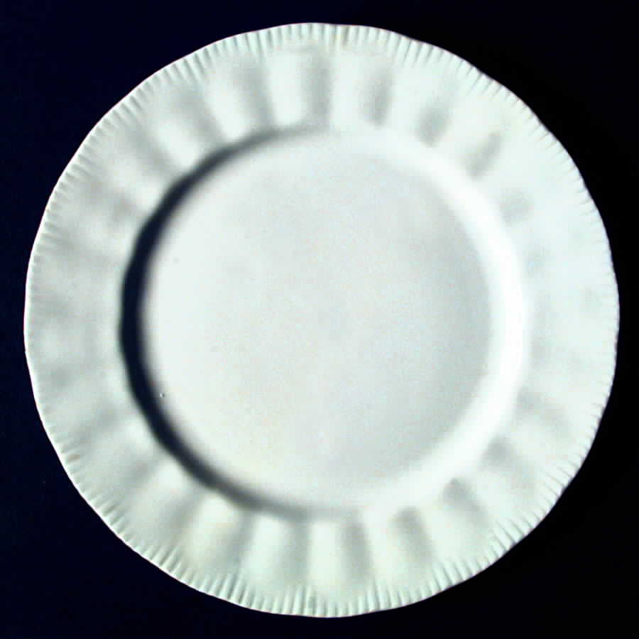 RSD28 Dinner Plate by Royal Standard-1