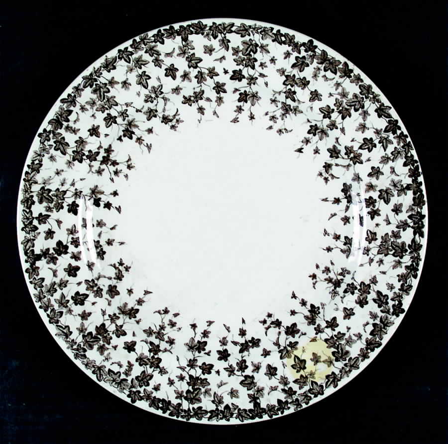 RW110 Dinner Plate by Royal Worcester-1