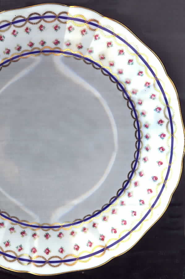 ROC108 Dinner Plate by Royal Cauldon-1