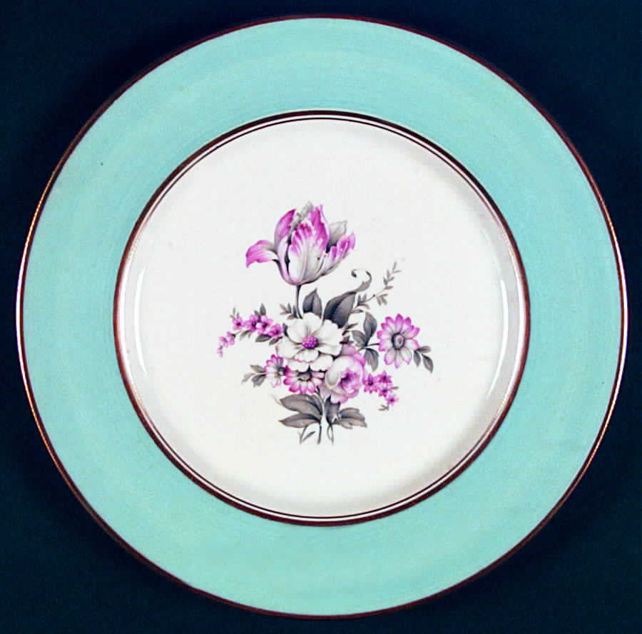 RDA13 Dinner Plate by Rosedale-1