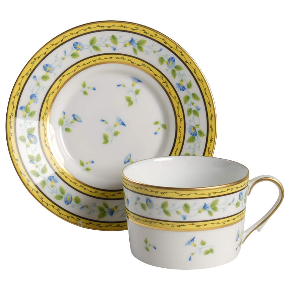 Morning Glory (Spray) Flat Cup & Saucer Set by Raynaud-1