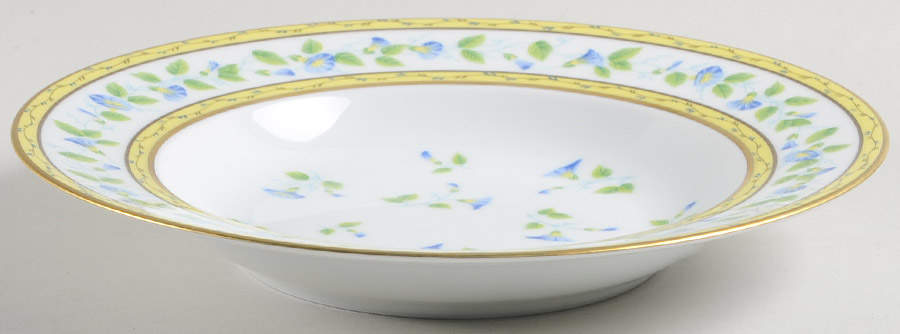 Morning Glory (Spray) 9" Individual Pasta Bowl by Raynaud-1