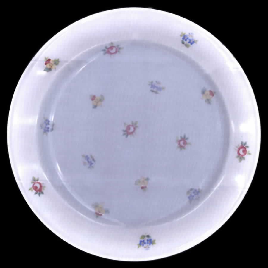 R1188 Salad Plate by Rosenthal - Continental-1