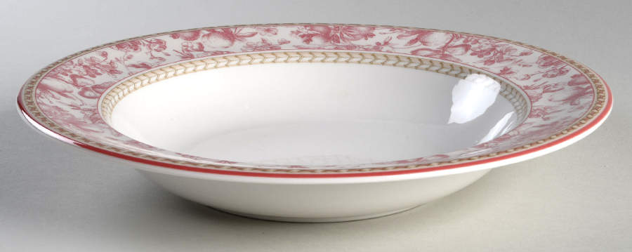 Provence Rouge 11" Individual Pasta Bowl by Royal Doulton-1