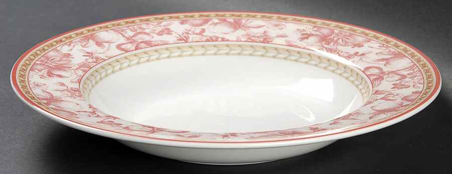 Provence Rouge Large Rim Soup Bowl by Royal Doulton-1