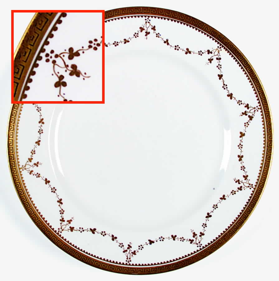 1107 Dinner Plate by Royal Coleston-1