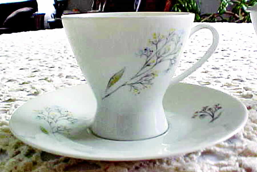 R1090 Footed Cup & Saucer Set by Rosenthal - Continental-1