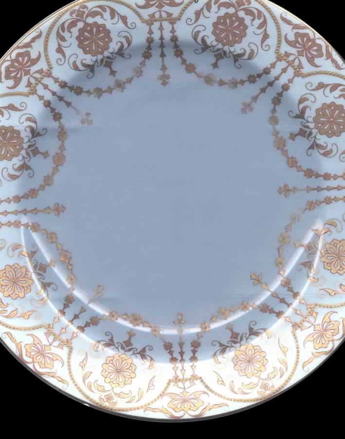 W924 Dinner Plate by Royal Worcester-1