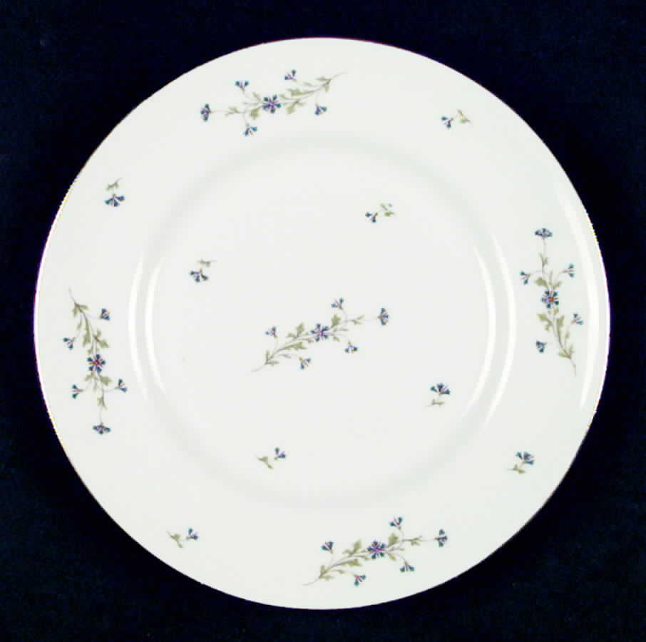 RDN100 Salad Plate by M Redon-1