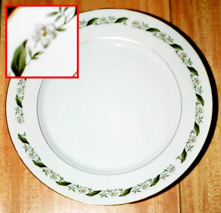 ROJ178 Dinner Plate by Royal Jackson-1
