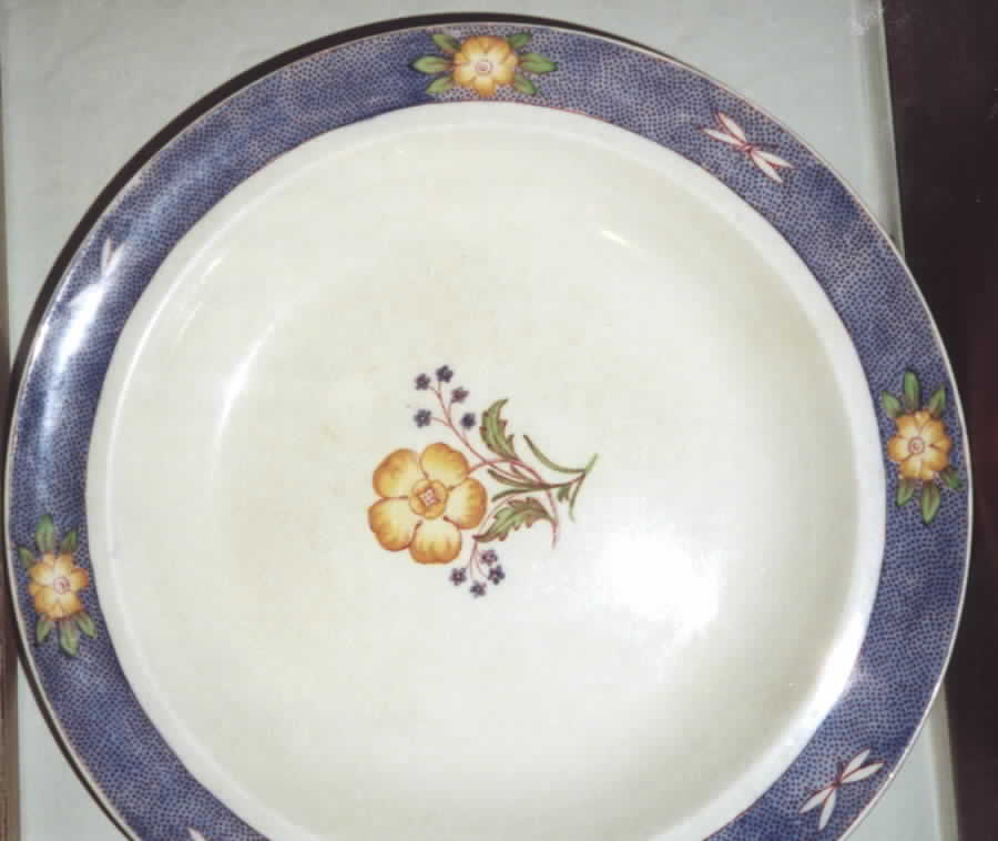 ROC112 Rim Soup Bowl by Royal Cauldon-1