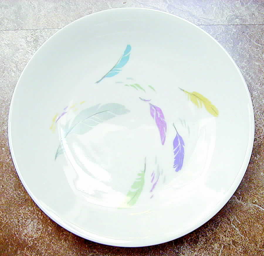 Plume Au Vent Dinner Plate by Raynaud-1