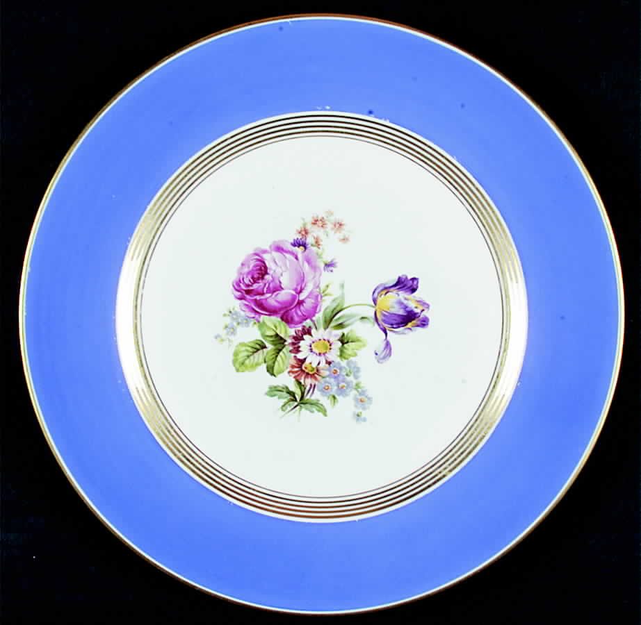 RDA14 Dinner Plate by Rosedale-1