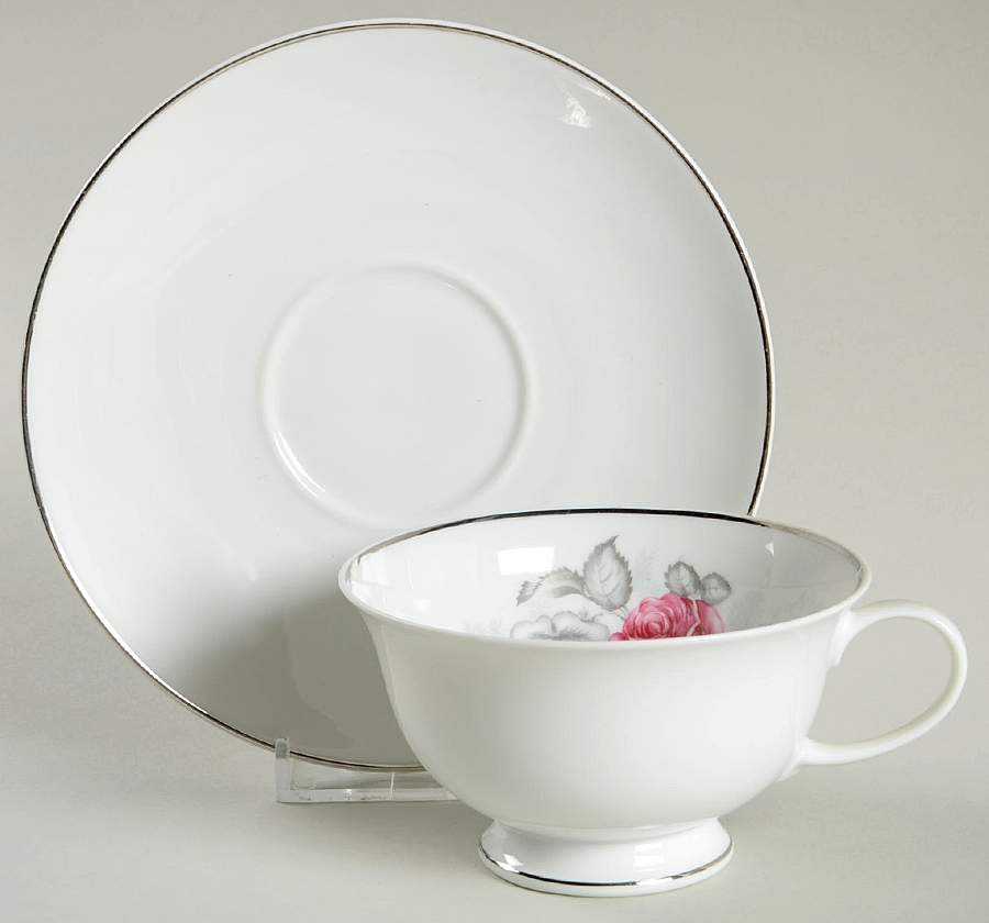 Gray Dawn Platinum (No Gray Band) Footed Cup & Saucer Set by Rosenthal - Continental-1