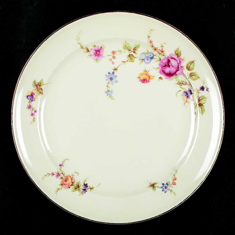 ROI45 Dinner Plate by Royal Ivory (Czech, Germany)-1