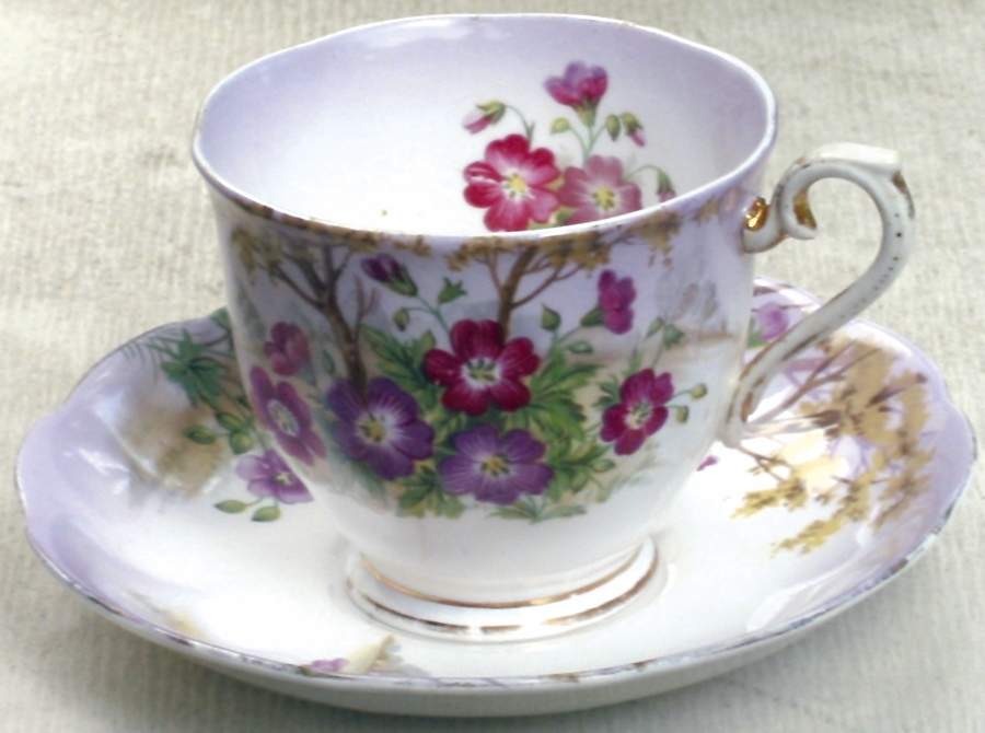 Flower of The Month (Countess Shape) Footed Cup & Saucer Set by Royal Albert-1