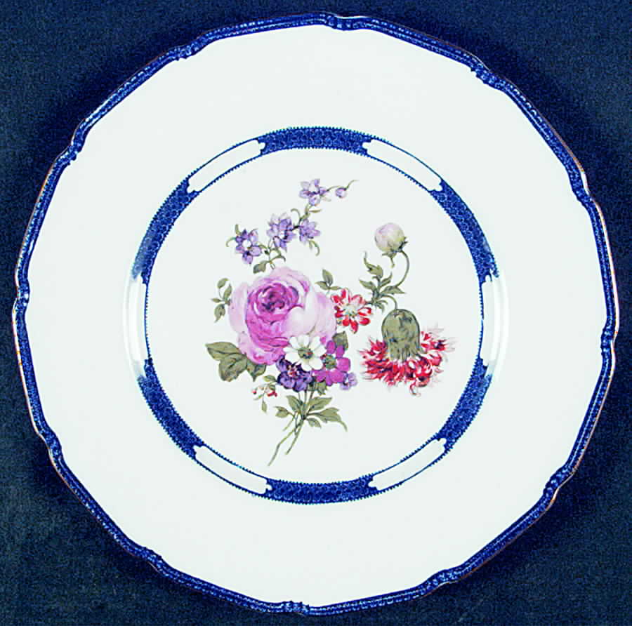 RD140 Dinner Plate by Royal Doulton-1