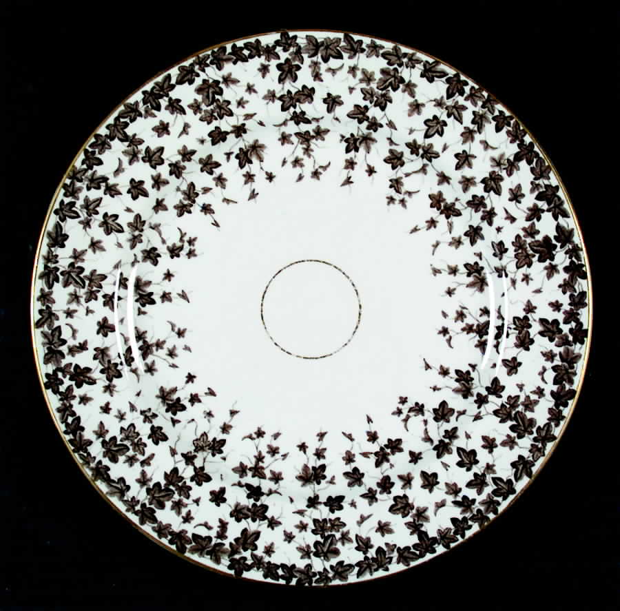 RW118 Dinner Plate by Royal Worcester-1