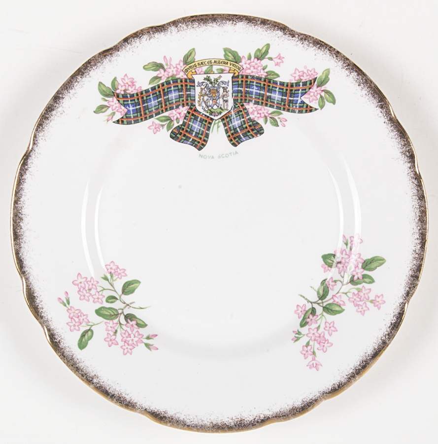 Tartan Series Dessert/Pie Plate by Royal Stafford-1