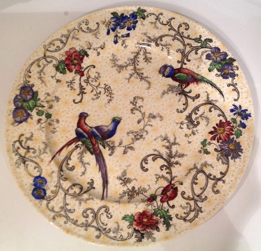 V654 Dinner Plate by Royal Cauldon-1