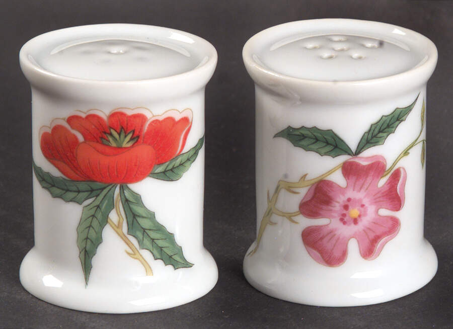 Mioraflor (Menton) Individual Salt & Pepper Set by Raynaud-1