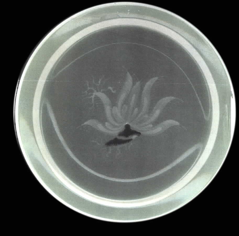 1878 Dinner Plate by Royal Copenhagen-1