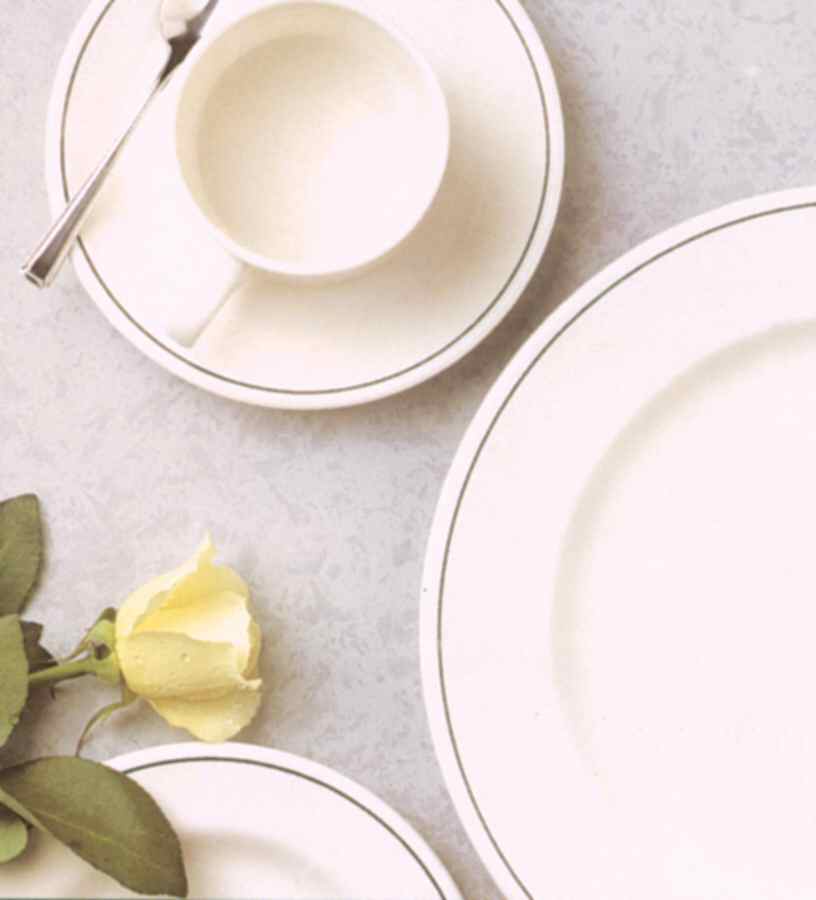 Troy Black Dinner Plate by Royal Doulton-1