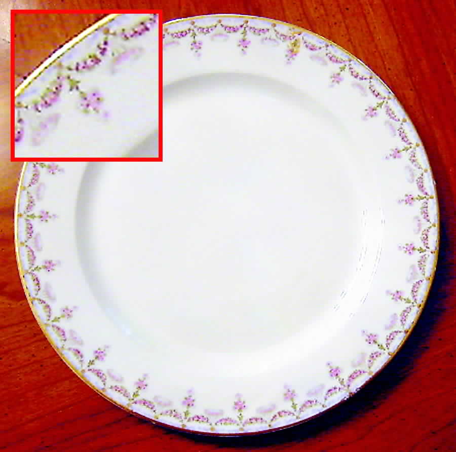 RDN110 Dinner Plate by M Redon-1