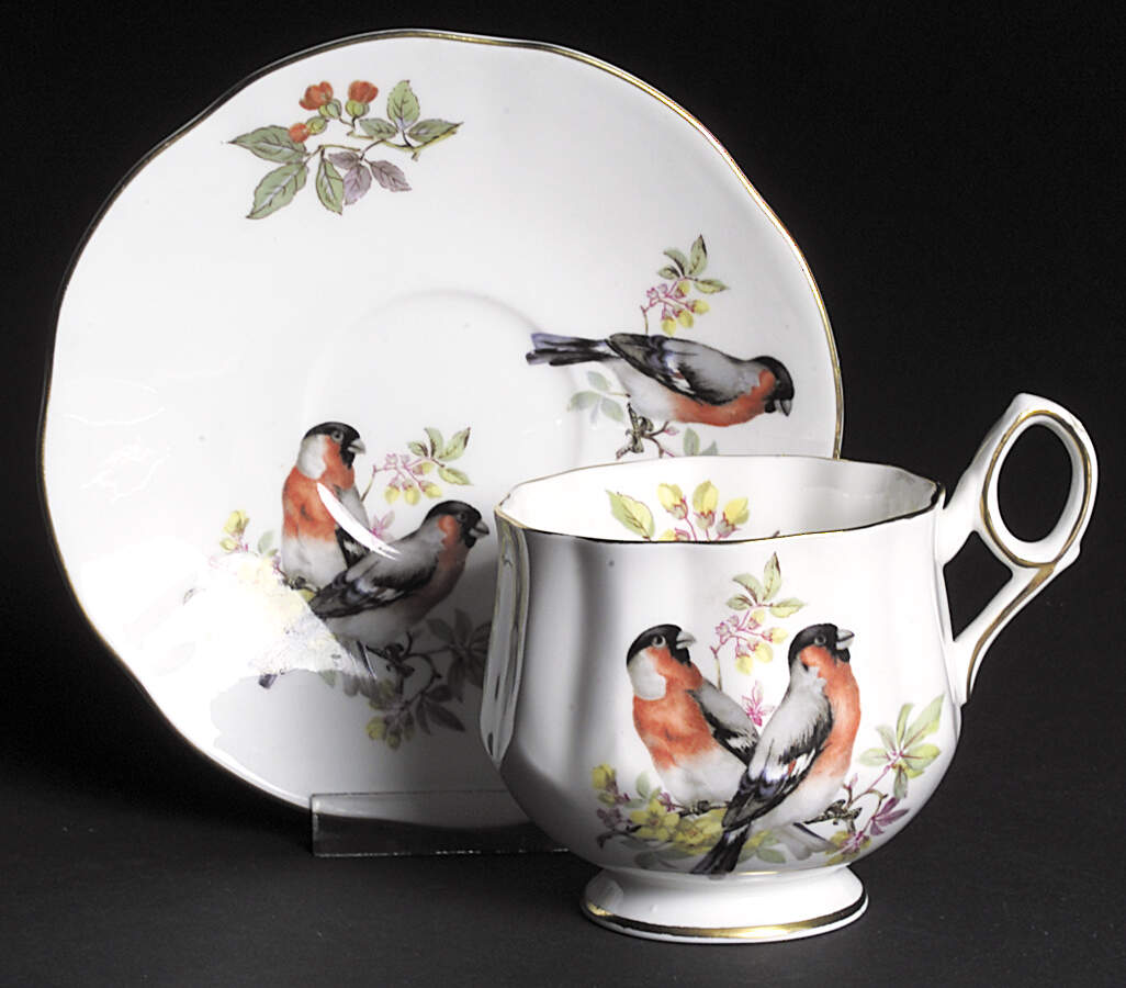 RDO6 Footed Cup & Saucer Set by Royal Dover-1