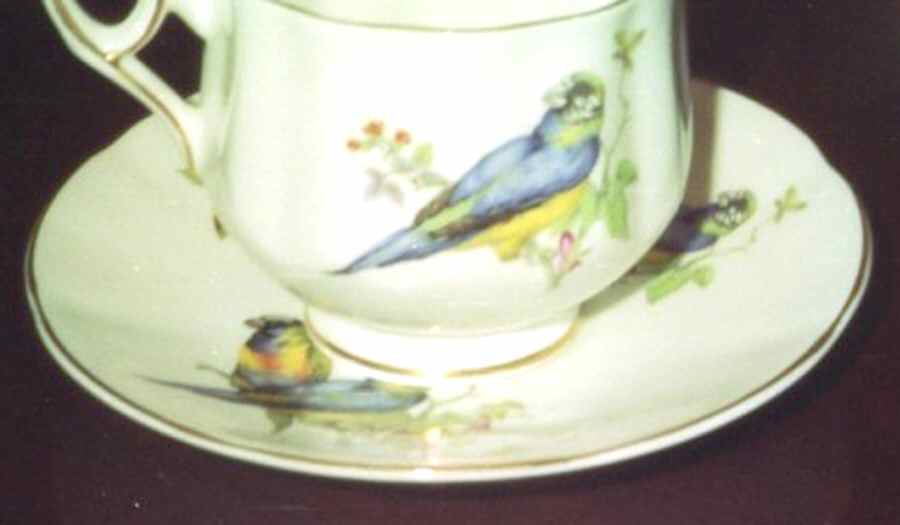 RDO6 Footed Cup & Saucer Set by Royal Dover-1